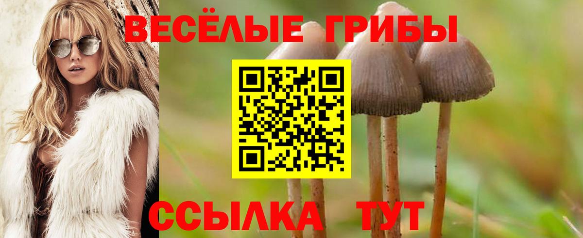 Кольчугино  Псилоцибиновые грибы прущие грибы  Вход с VPN  Псилоцибиновые грибы прущие грибы 
