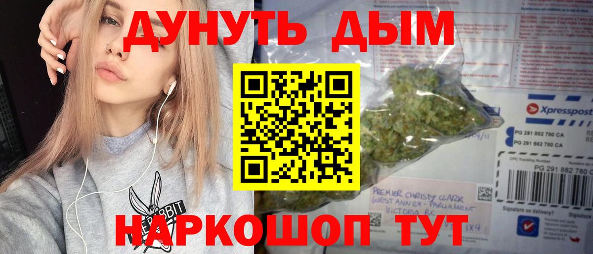 Бошки Шишки сатива Кольчугино